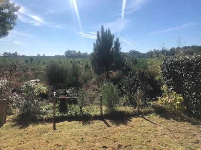 Village Ocelandes Saint-Julien-en-Born Bagian luar foto